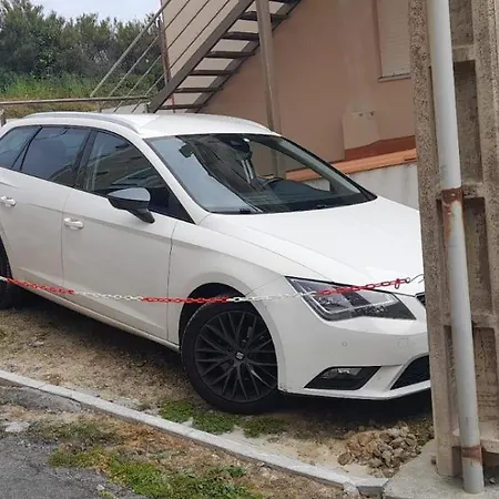 Canido Dor * Malpica