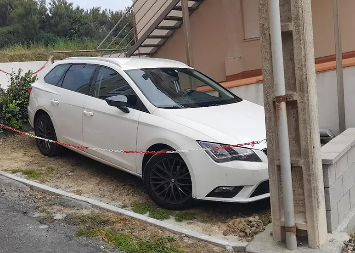 Canido Dor * Malpica